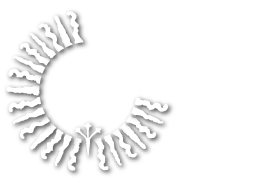 Sistema Universitario Jesuita